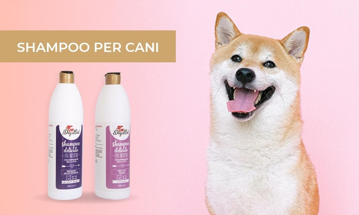 Dog hygiene: how to choose shampoo