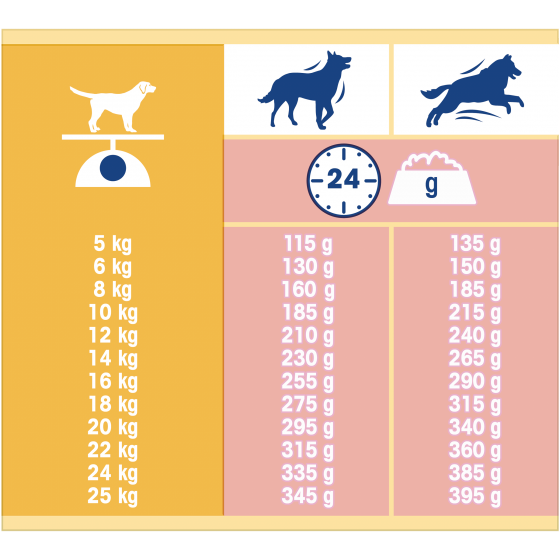 Tonus dog chow 10kg classic salmone