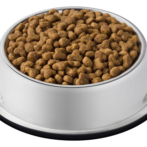 CAT CHOW ADULT ANATRA