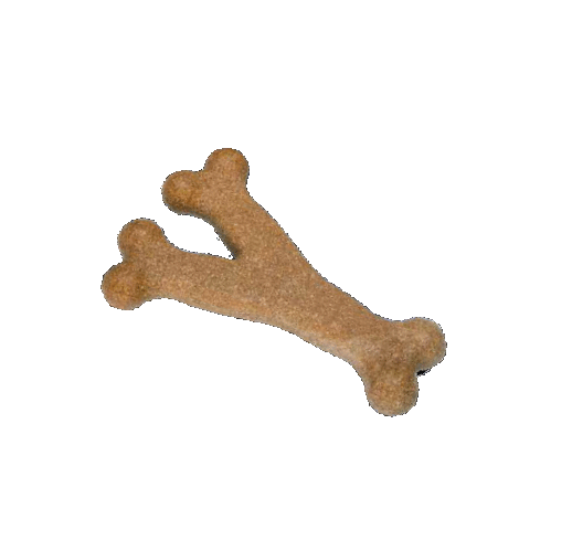 CAMON GIOCO DA MASTICARE PER CANI IN LEGNO DI CAFFE