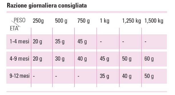 PROLIFE GATTO LIFESTYLE KITTEN SALMONE