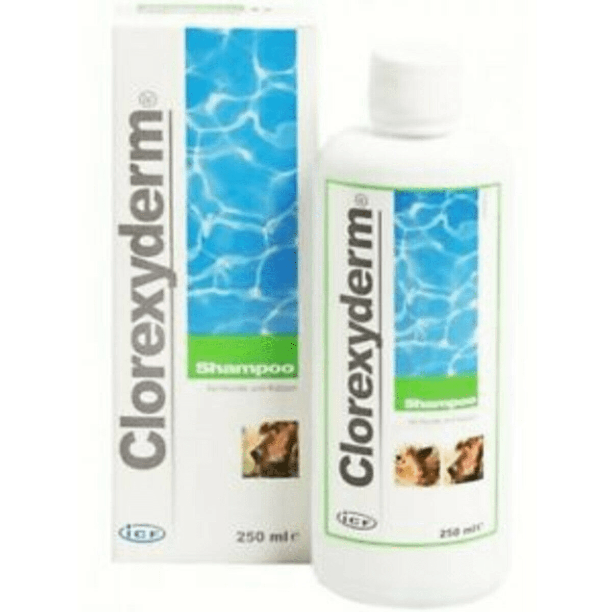 Icf clorexyderm shampoo 4 250ml 