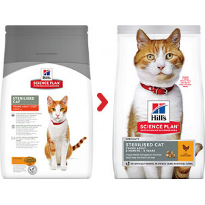 HILL S GATTO STERILISED POLLO