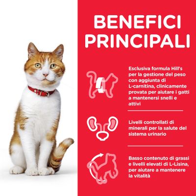 HILL S GATTO STERILISED SALMONE