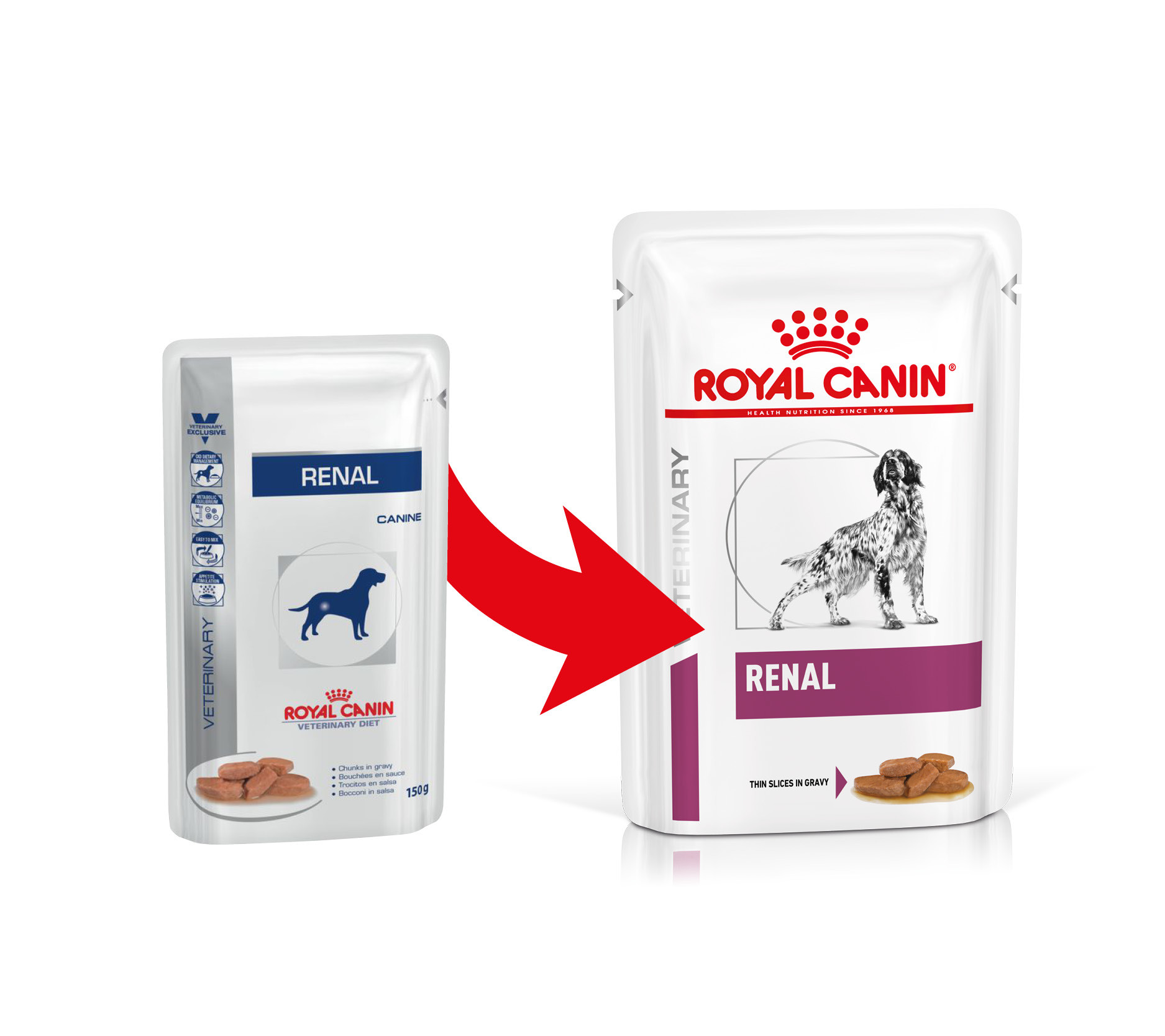 Royal canin vet cane bustina 100g renal