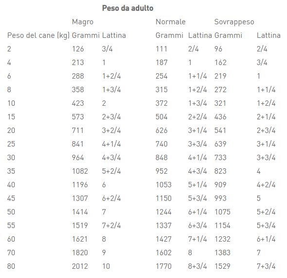 Royal canin vet cane lattina 410g renal 