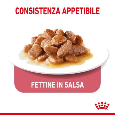 Royal canin cat bustina 85g jelly ultra light 