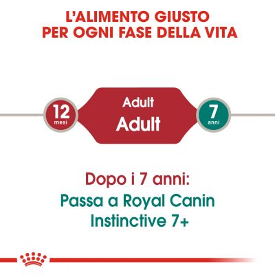 Royal canin cat bustina 85g gravy instinctive 