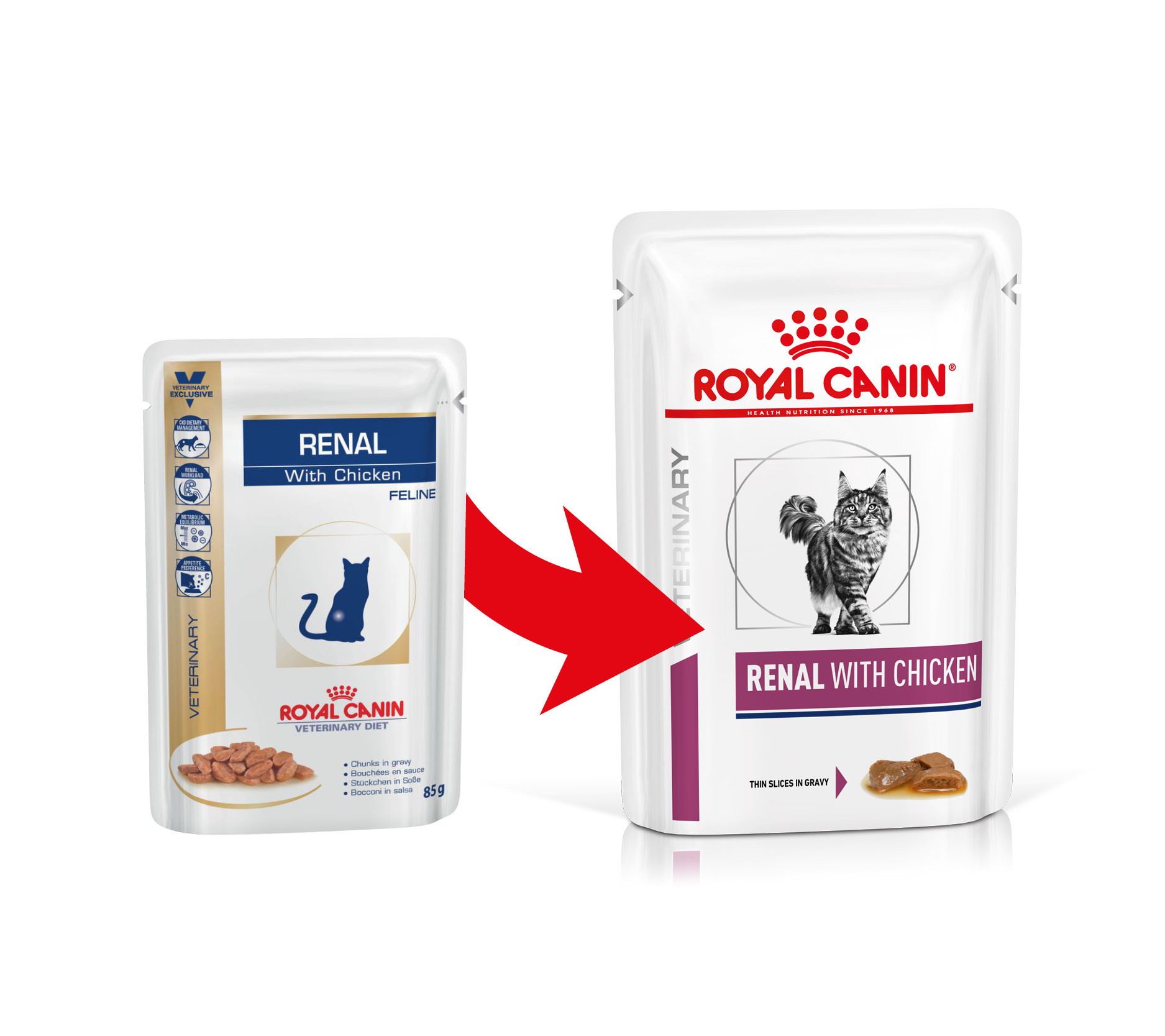 Royal canin vet cat bustina 85g renal pollo 