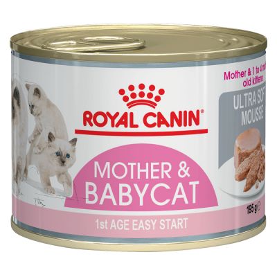 Royal canin cat lattina 195g babycat 