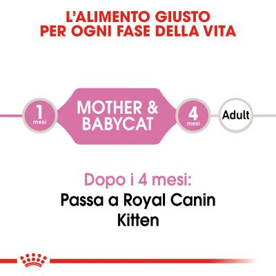 Royal canin cat lattina 195g babycat 