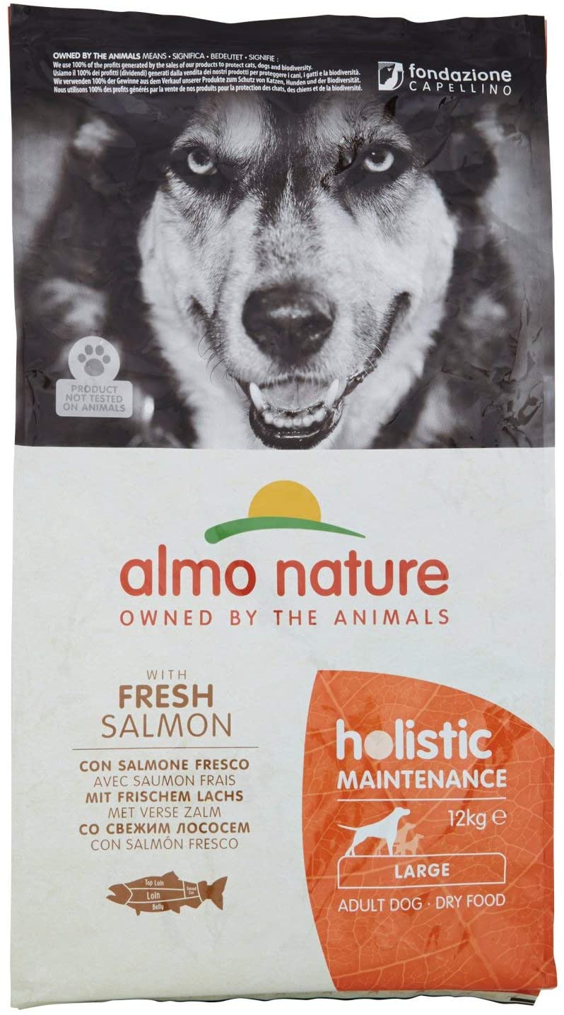 ALMO NATURE DOG HOLISTIC 12KG LARGE ADULT SALMONE 