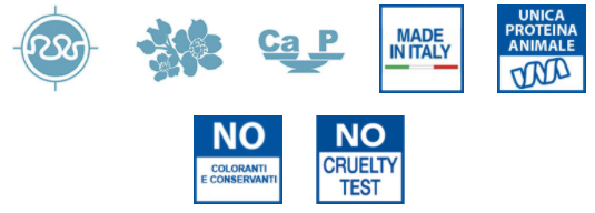 MONGE CAT KITTEN TROTA