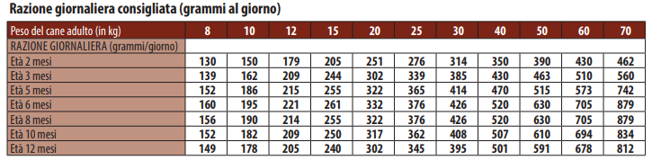 MONGE PUPPY ALL BREEDS AGNELLO