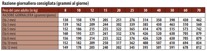 MONGE ALL BREEDS AGNELLO