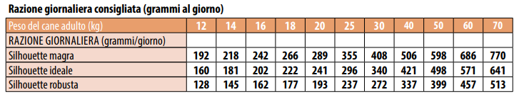 MONGE BWILD GRAIN FREE SALMONE