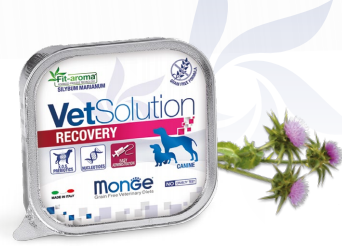 MONGE VET SOLUTION CANE VASCHETTA 150G RECOVERY