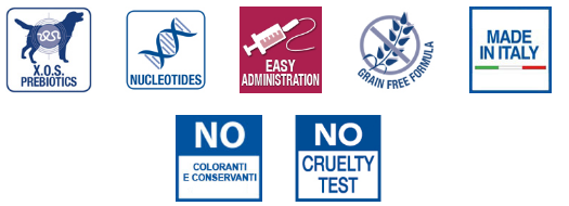 MONGE VET SOLUTION CANE VASCHETTA 150G RECOVERY