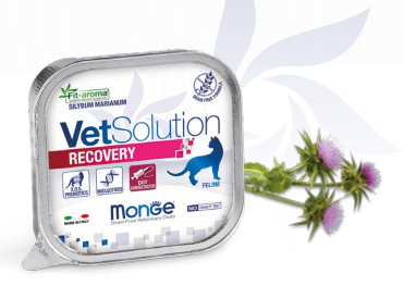 Monge vet solution gatto vaschetta 100g recovery