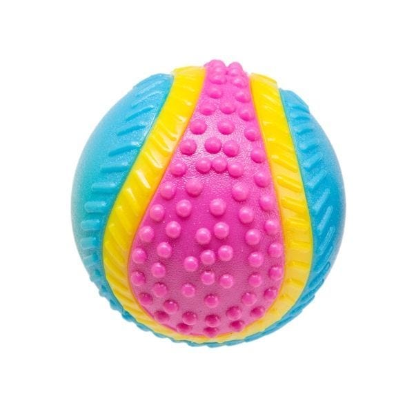 GIMBORN GIOCO CANE PALLA 5 SENSI