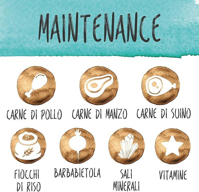 ALDOG MINI MANTENIMENTO