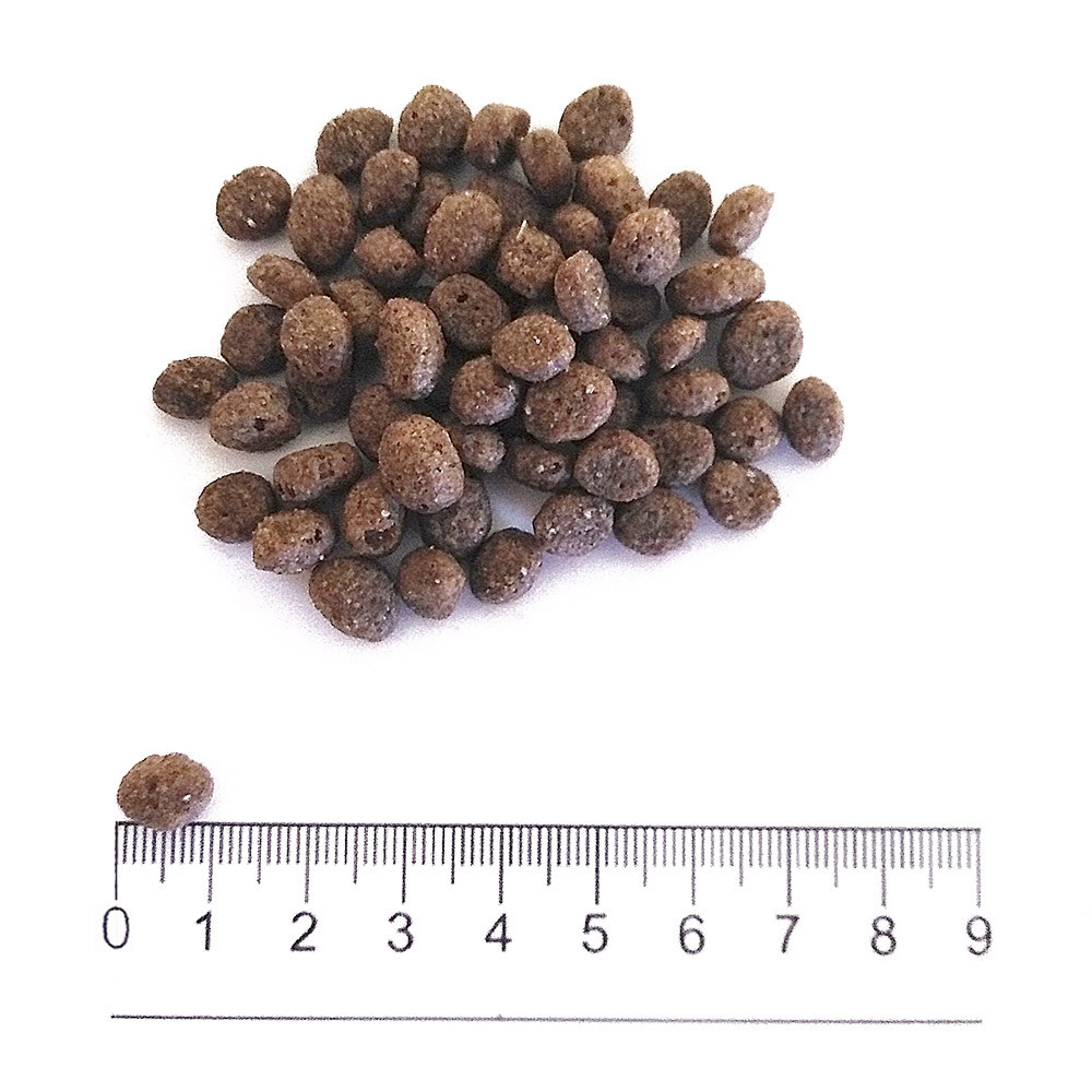 PROLIFE LIFESTYLE MATURE MINI PESCE