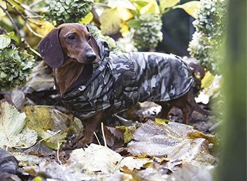 GIUBB IMB DACHSHUND MILITARY