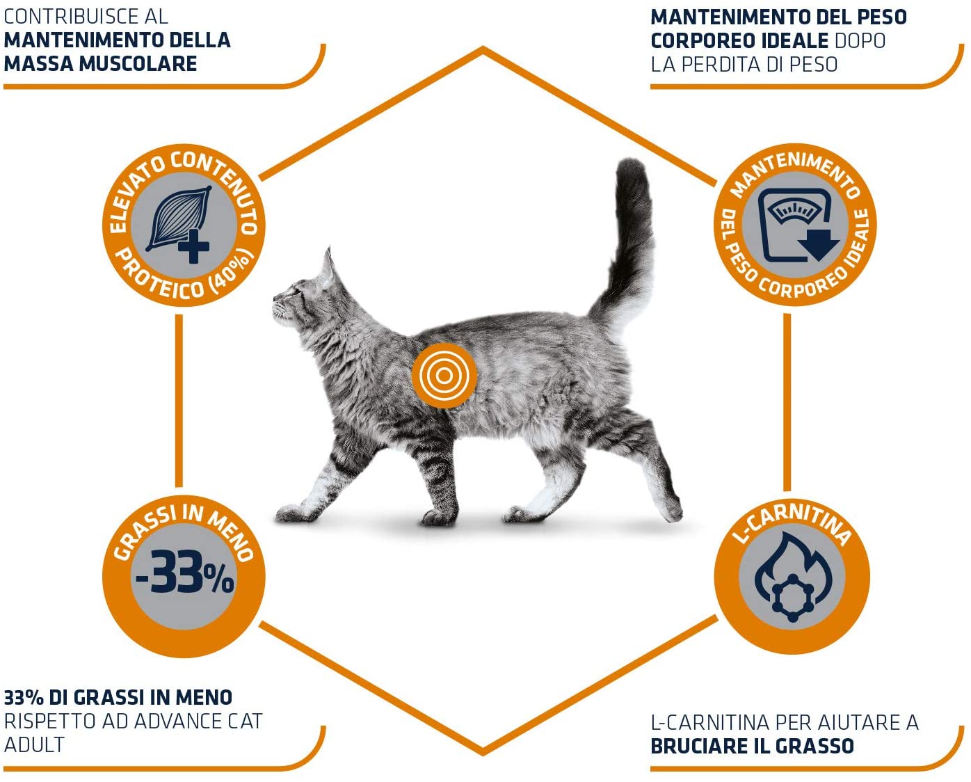 Advance diet cat 1.5kg weight balance