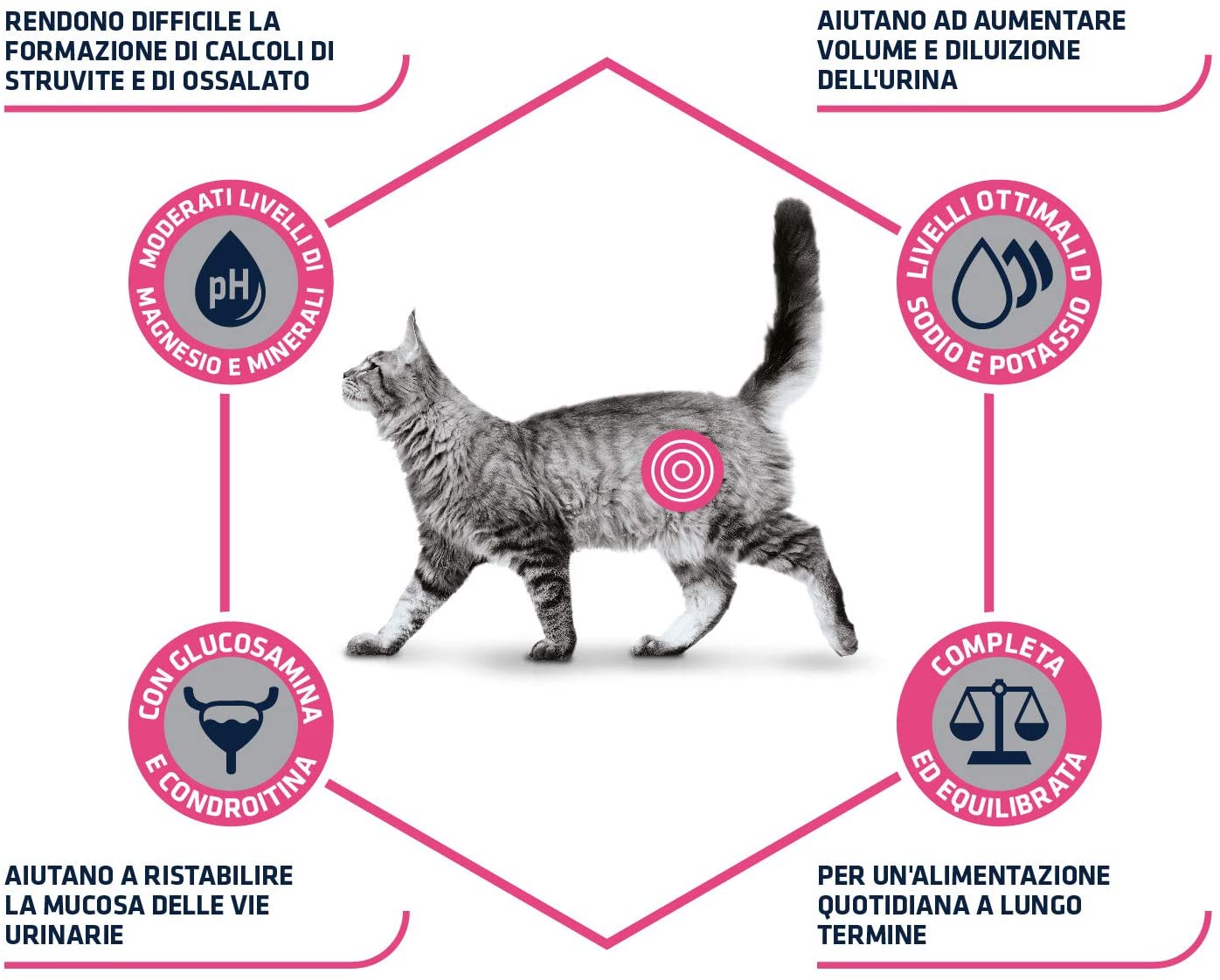 Advance diet cat 1.5kg urinary