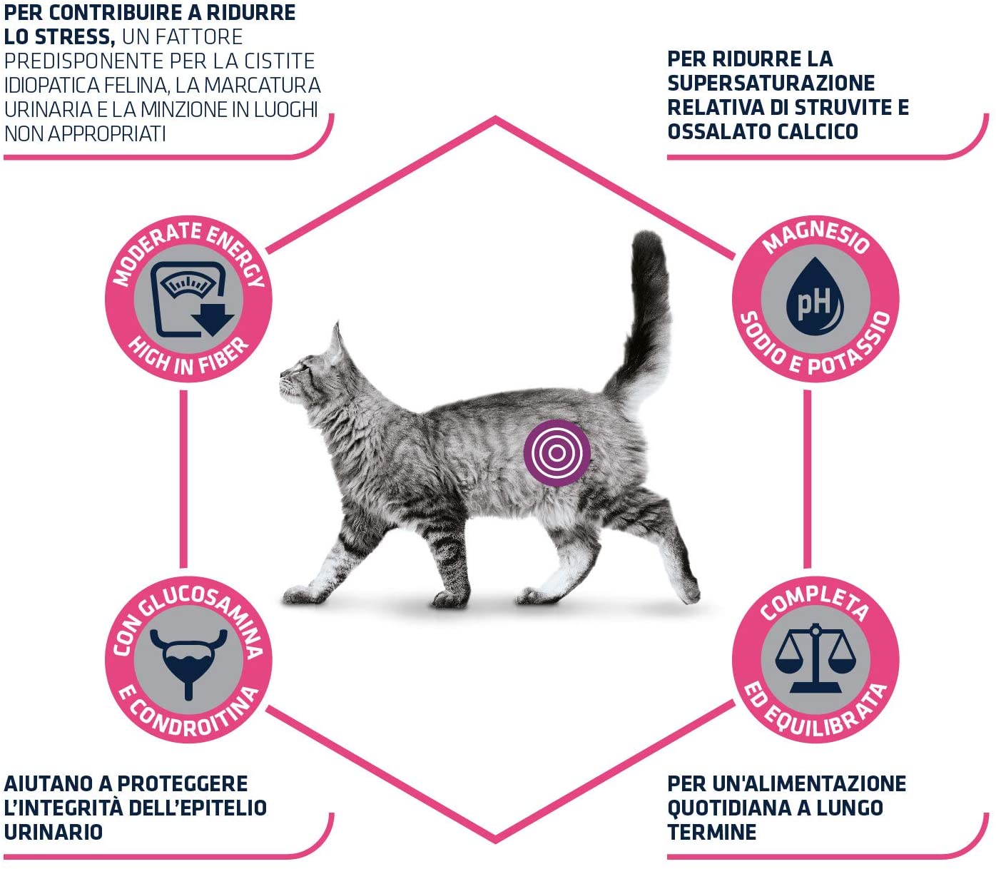 Advance diet cat 1.25kg urinary stress