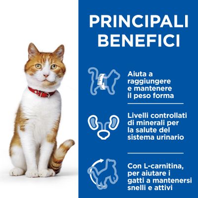 HILL S GATTO STERILISED ANATRA