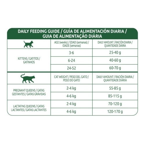 Libra cat 1.5kg kitten pollo