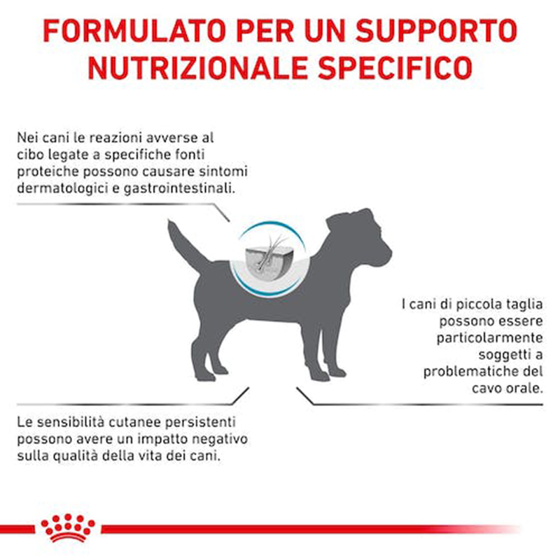 ROYAL CANIN  VET CANE ANALLERGENIC SM