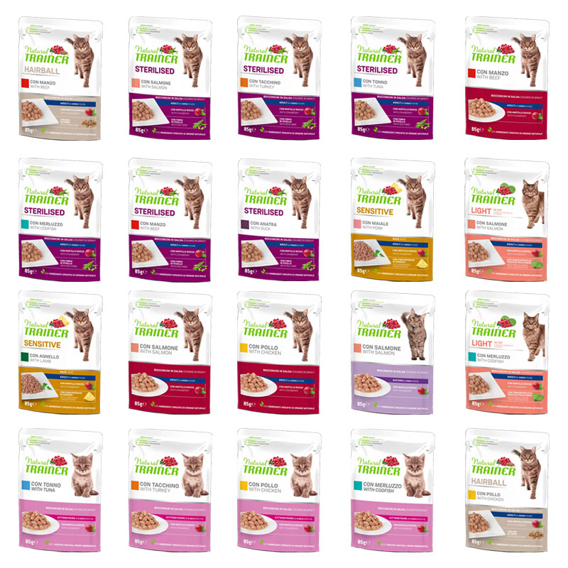 Trainer Cat Bustina 85G