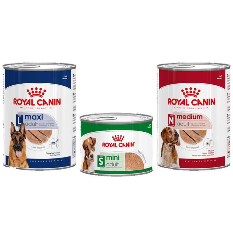 Royal Canin Adult Lattina