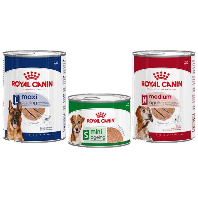 Royal Canin Ageing Lattina