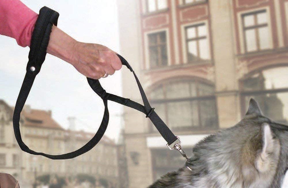 GUINZAGLIO DOPPIO MANICO