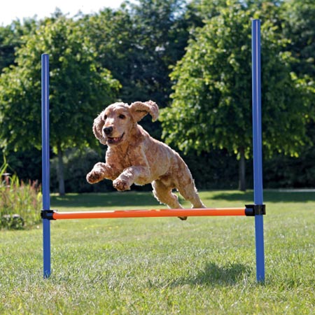TRIXIE AGILITY OSTACOLO 123X115X3CM BLU ARANCIO 