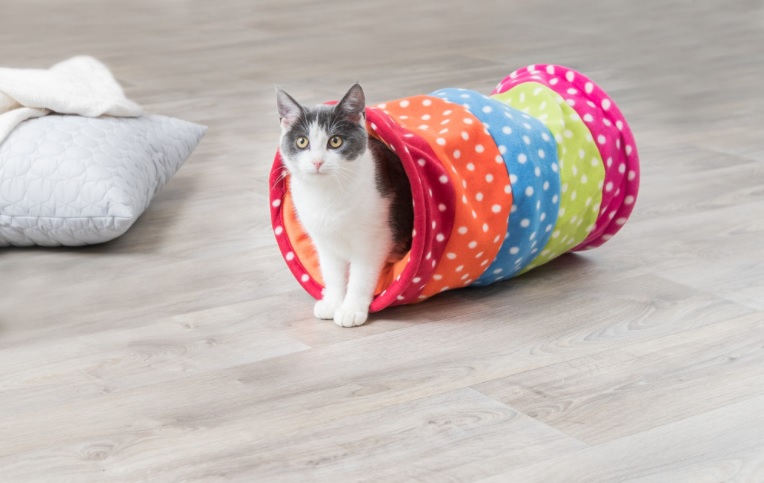 Trixie tunnel gioco pois colorati 25x50cm