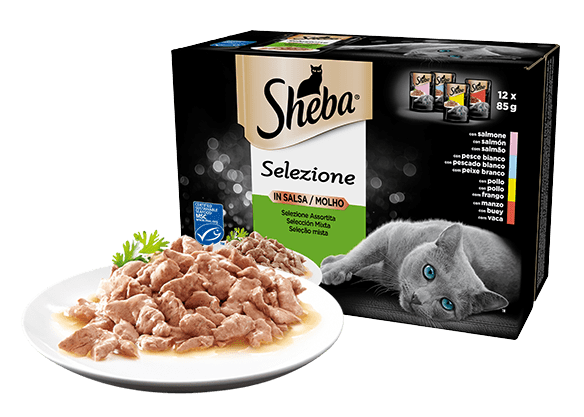 SHEBA BUSTINA 12X85G