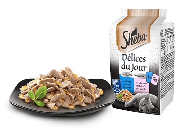 SHEBA DELICES DU JOUR 6X50G