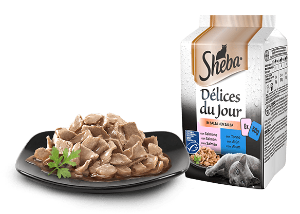 SHEBA DELICES DU JOUR 6X50G