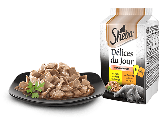 SHEBA DELICES DU JOUR 6X50G
