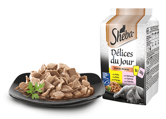 SHEBA DELICES DU JOUR 6X50G