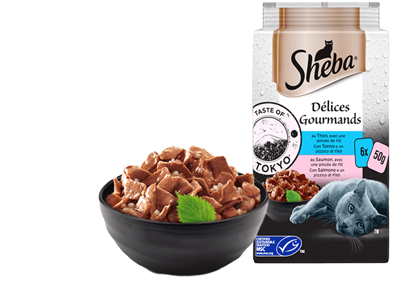 SHEBA DELICES DU JOUR 6X50G