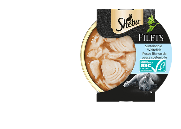 SHEBA FILETS 60G